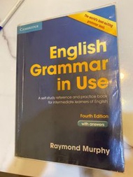 English grammar in use 英文文法書