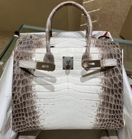 Hermes Birkin 30 Himalaya 喜馬拉雅 鱷魚