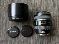 Canon EF 70-300mm DO IS