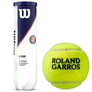 ウイルソン（Wilson）テニスボール ROLAND GARROS ALL COURT 4 Ball WRT116400