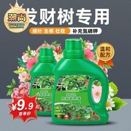 貝可施發財樹專用營養液體肥料水培發財樹蔬菜綠植花卉貝可施批發