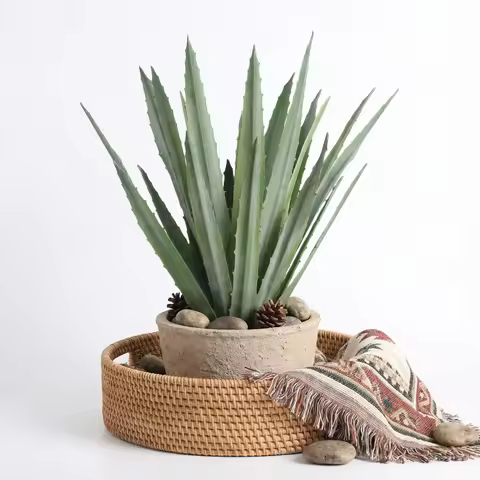 Boho Faux Aloe Plant Scandinavian Minimalist Table Decor Artificial Tropical Succulent for Desert St
