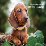 2026 Dog English Wall Calendar Animal Style Calendar FSC Paper Market Special Illustration