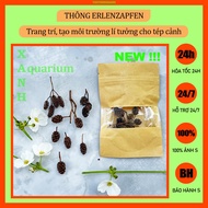 Alder Cones for ornamental shrimp [Erlenzapfen]