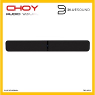 Bluesound Pulse Soundbar+ With Dolby Atmos & Wireless Streaming Sound System