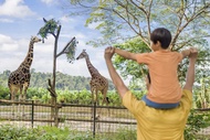 新加坡-動物園門票&遊園車| 萬態野生動物世界