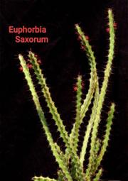 【石在好玩】 Euphorbia Saxorum 岩大戟 (開紅花)
