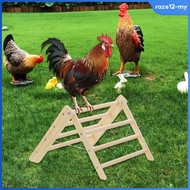 [RazecaMY] Chicken Perch, Chicken Toy, Chicken Coop, Outdoor Farm, Perch Toy, Perch Ladder, Rooster 