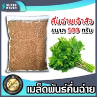 เมล็ดคื่นฉ่าย (เจ้าสัว) หนัก 500กรัม  เมล็ดพันธุ์ผัก เมล็ดสมบรูณ์ เมล็ดพันธุ์คื่นฉ่าย โตง่าย โตเร็ว 