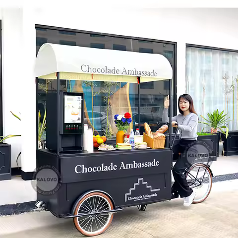OEM Customized Food Takeaway Vending Bike 3 Wheel Electric Cargo Bicycle Mobile Street Snack Vending