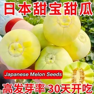 Japanese cantaloupe seeds, sheep horn honey cantaloupe seeds, watermelon seeds, seasonal planting of