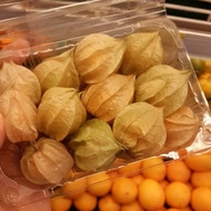 Buah ciplukan segar/buah cecenet segar