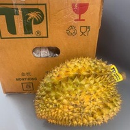 泰國頂級TP 金枕頭榴槤