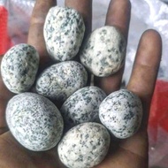batu koral telur puyuh / dalmatian stone/ taman / aquascape / 1kg