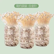 [Buy One and Get Three]Home Mushroom Growing Kit Edible Mushroom Sticks Mushroom Growing Kit Edible 