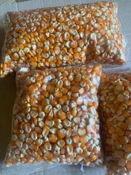 Bibit jagung tawar jagung sumo 1kg