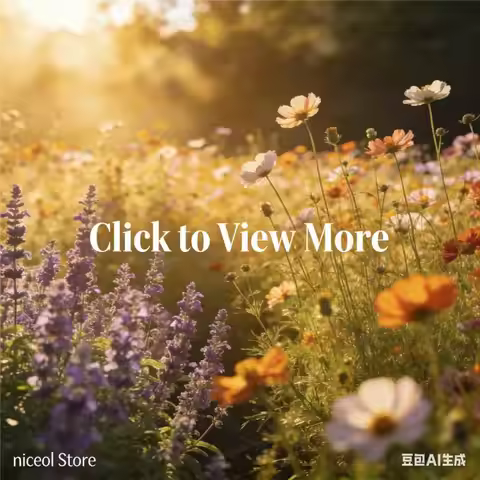 Bluetooth-compatible Internet FM Radio Rechargeable Digital Radio with 1.47inch Color Display Extern