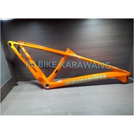 Mountain Bike FRAME MTB DOMINATE CXC COMP R CARBON 29ers