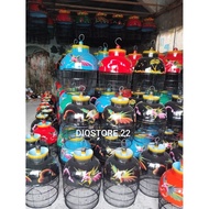 DOVE CAGE/ DOVE CAGE TENONGAN MODEL DOVE CAGE BIRD PAINTING