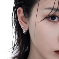 Fashion Star Diamond Earrings 925 Silver Needle Anti-Allergic Earrings Female Trendy Matching Access