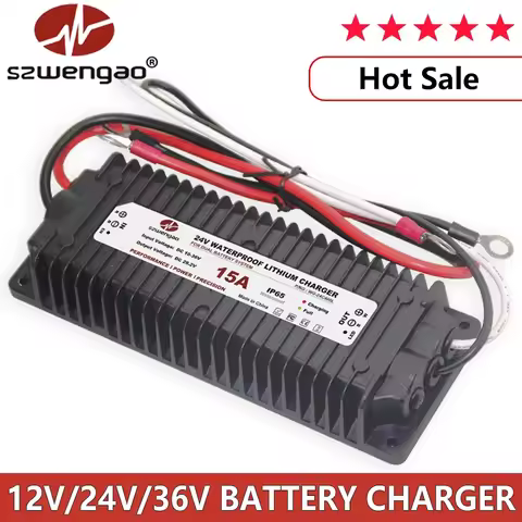 szwengao Marine DC 10-36V 12V to DC 14.6V 29.2V 43.8V Booster Converter 12 24 36 Volt Lithium Batter