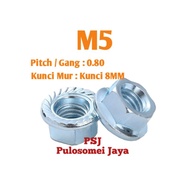 M5 Flange Nut White M5 Flange Nut White Galvanized Flange Nut M5
