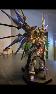 模型 高達長龍mgex