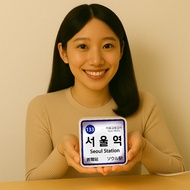 Seoul Souvenirs Gyeonggi-Do Tower Incheon Travel Free Korea Luminous Dongdaemun Lights Mizuhara Gift