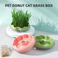 Cat grass Donut potted plant Cat Grass Box Natural Catnip Soil-less Fast Growing Wheat grass Planting Set for Hairball