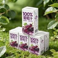 [Grape You Like] 100% Juice Grape Juice 250ml * 10 Boxes New Date Fruity Drink Authentic Grape Juice