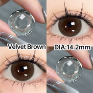 [✅COD] Mystic Eyes lens Kính áp tròng Almond Loạt xám Lens 14.0mm-14.5mm 0 độ lens 6 Tháng