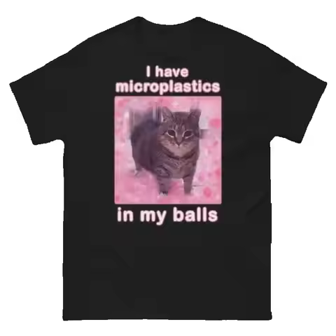 I Have Microplastics in My Balls Funny Cat Meme T-shirt Gift for Women Ironic Cats Shirt Stupid Sill