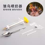 Pemakan plastik sedia ada untuk anak burung kakak, picagari untuk burung kakak yang dibesarkan secar