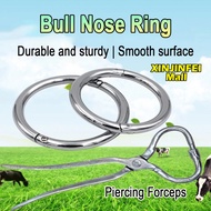 Carbon Steel Bull Nose Ring Medium Large Piercing Forceps Sturdy And Durable Exquisite Workmanship