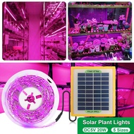 【โรงงาน】20W แผงเซลล์แสงอาทิตย์ LED Grow Light Spectrum เต็ม5V Grow ริ้วสายไฟ2835 LED Phyto สำหรับโรง