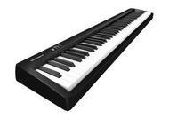 全新Roland FP18 數碼琴 88鍵重力鍵款 fp10升級版