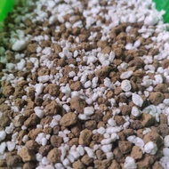 Soil Pre-Mix for Specialty Plants (1L)