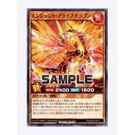 [Bruce Card] Yu-Gi-Oh RD Ancient Ice Dragon N sd0a-jp011
