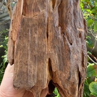 加里曼丹 野生沉香老料 1053公克 沉香擺件 星洲系 #沉香 #山奇藝