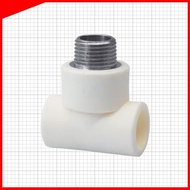 Westpex Tee Outer Thread PPR Pipe 3/4 inch to thread 1/2 (H 25x1/2M)