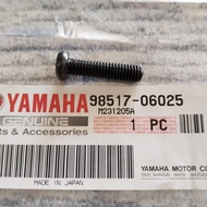 Original Yamaha RX King 98517-06025 Magnetic Cover Bolt