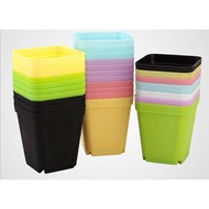 7cm colourful plastic pot