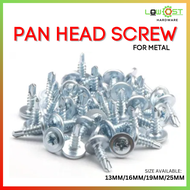 Hardiflex Screw Window Screw Pan Head Screw For Meta Cross recessed washer head  Self Tapping Metal 