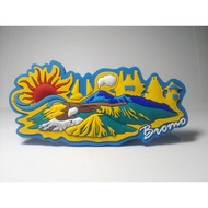 Refrigerator Magnets Refrigerator Stickers Bromo magnet fridge/s