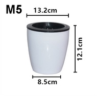 *5pcs* Self watering Pot (M Size) Hydroponic Pot sistem hidroponik M5