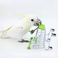 E-17 Parrot Toy Mini Cart Small Animal For Taking Pictures 11 * 8 * 11.5cm