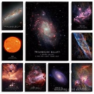 BNHE Butterfly Nebula The Andromeda Galaxy Veil Nebula Cosmos Learning Poster Canvas Painting Wall A