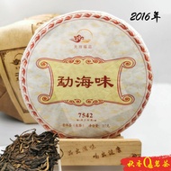 勐海味 7542 Meng Hai Wei Puer tea (2016)｜【普洱生茶 Raw Puer tea】Chinese Tea 中国茶 / 茶叶 (普洱茶) Teh Cina | Qiu X