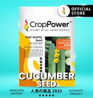 (10 GRAM) Biji Benih Timun Black Steel 铁金刚 DC777 CROP POWER F1 Hybrid Cucumber Seeds 黄瓜种子 DC 777