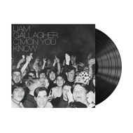 แผ่นเสียง Liam Gallagher Cmon You Know ใหม่ ซีล Liam Gallagher Vinyl LP